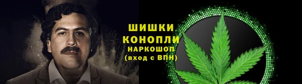 PSILOCYBIN Балабаново
